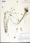 000014401-thumbnail.jpg