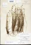 000014402-thumbnail.jpg