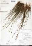 000014408-thumbnail.jpg
