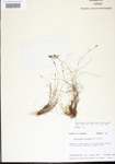 000014412-thumbnail.jpg