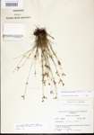 000014413-thumbnail.jpg