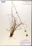 000014450-thumbnail.jpg