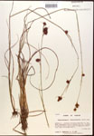 000014451-thumbnail.jpg