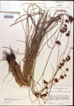000014452-thumbnail.jpg