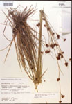 000014453-thumbnail.jpg