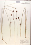 000014454-thumbnail.jpg