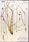 000014455-thumbnail.jpg