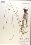 000014456-thumbnail.jpg