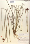 000014457-thumbnail.jpg