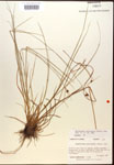 000014458-thumbnail.jpg
