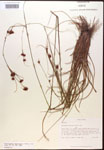 000014460-thumbnail.jpg