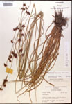 000014461-thumbnail.jpg