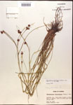 000014462-thumbnail.jpg