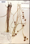 000014463-thumbnail.jpg