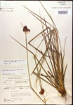 000014464-thumbnail.jpg