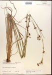 000014465-thumbnail.jpg