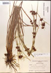 000014466-thumbnail.jpg