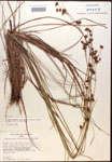 000014467-thumbnail.jpg