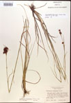 000014468-thumbnail.jpg
