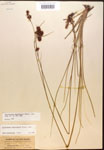 000014469-thumbnail.jpg