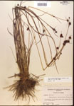 000014470-thumbnail.jpg