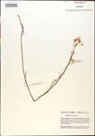 000014473-thumbnail.jpg
