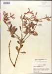 000014584-thumbnail.jpg