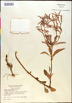 000014608-thumbnail.jpg