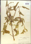 000014615-thumbnail.jpg
