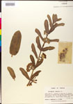 000014803-thumbnail.jpg