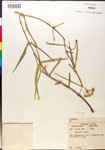 000014876-thumbnail.jpg