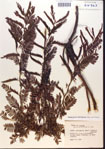 000014941-thumbnail.jpg