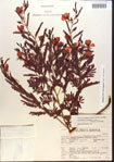 000014942-thumbnail.jpg