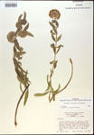000014983-thumbnail.jpg