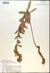 000014984-thumbnail.jpg