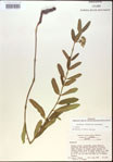 000014986-thumbnail.jpg