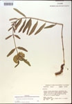000014987-thumbnail.jpg