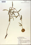 000014988-thumbnail.jpg