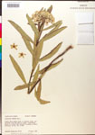 000014991-thumbnail.jpg
