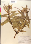 000014994-thumbnail.jpg