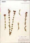 000015020-thumbnail.jpg