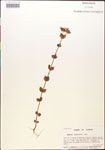 000015022-thumbnail.jpg