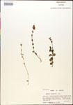 000015023-thumbnail.jpg