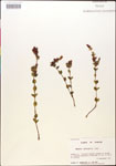 000015024-thumbnail.jpg