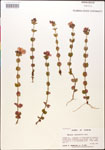 000015026-thumbnail.jpg