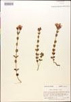 000015027-thumbnail.jpg