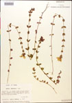 000015028-thumbnail.jpg
