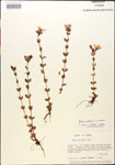 000015029-thumbnail.jpg