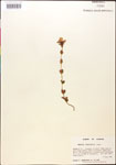 000015031-thumbnail.jpg
