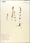 000015033-thumbnail.jpg